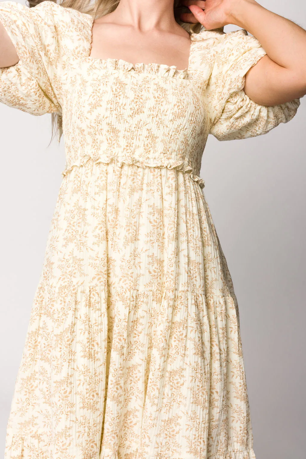 Elena Toile Print Midi Dress