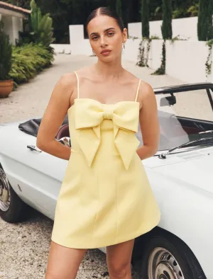 Hayley Bow Front Mini Dress