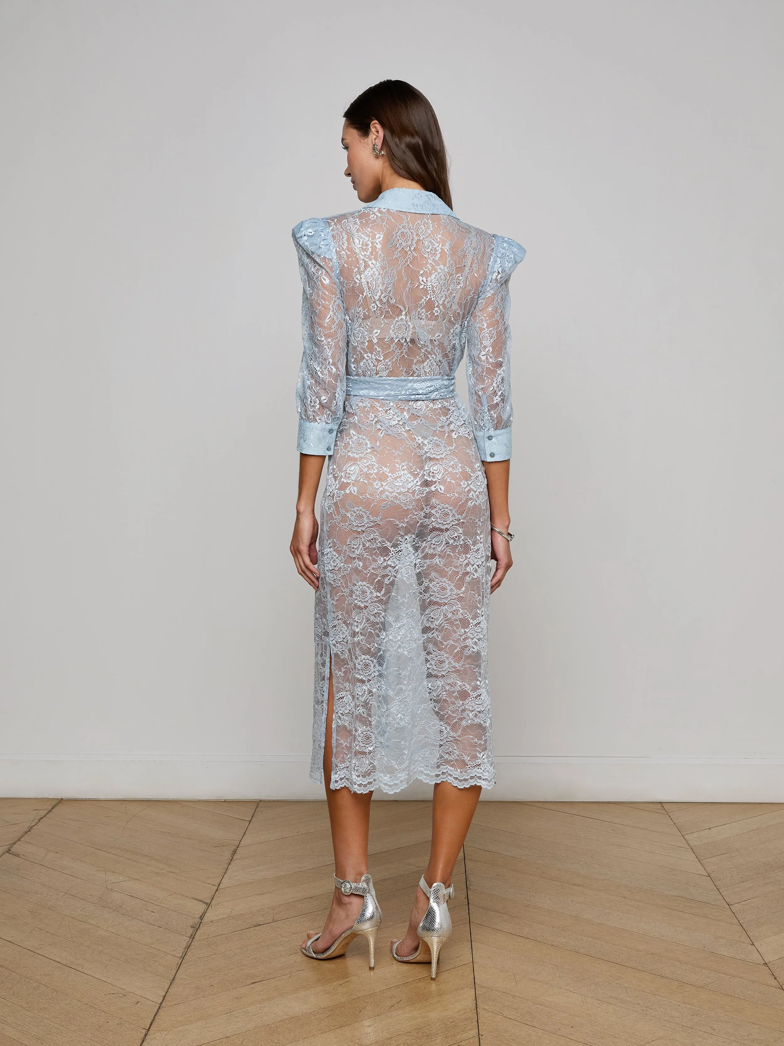 Kaiya Sequined Lace Dress