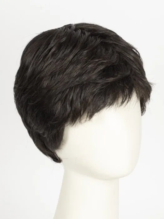 Straight Chic | Synthetic Lace Front Wig (Mono Crown)