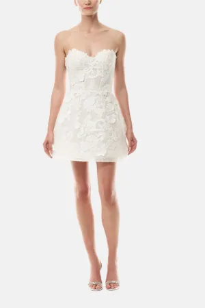 Strapless Corseted Mini Dress